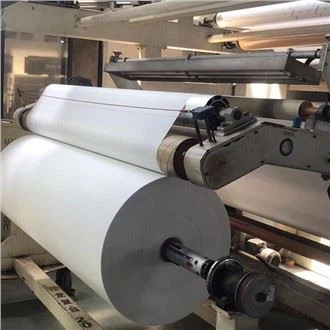 China Plain Spunlace Non Woven Fabric